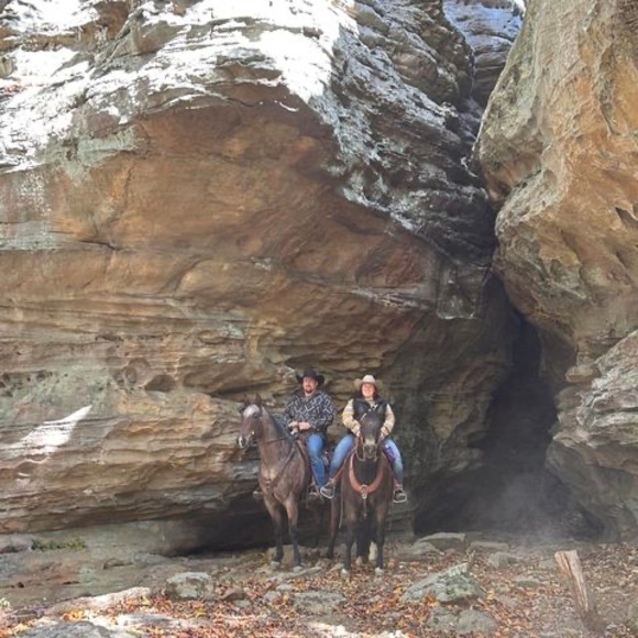 Meet your Posher, Darcy - Picture 1 of 1